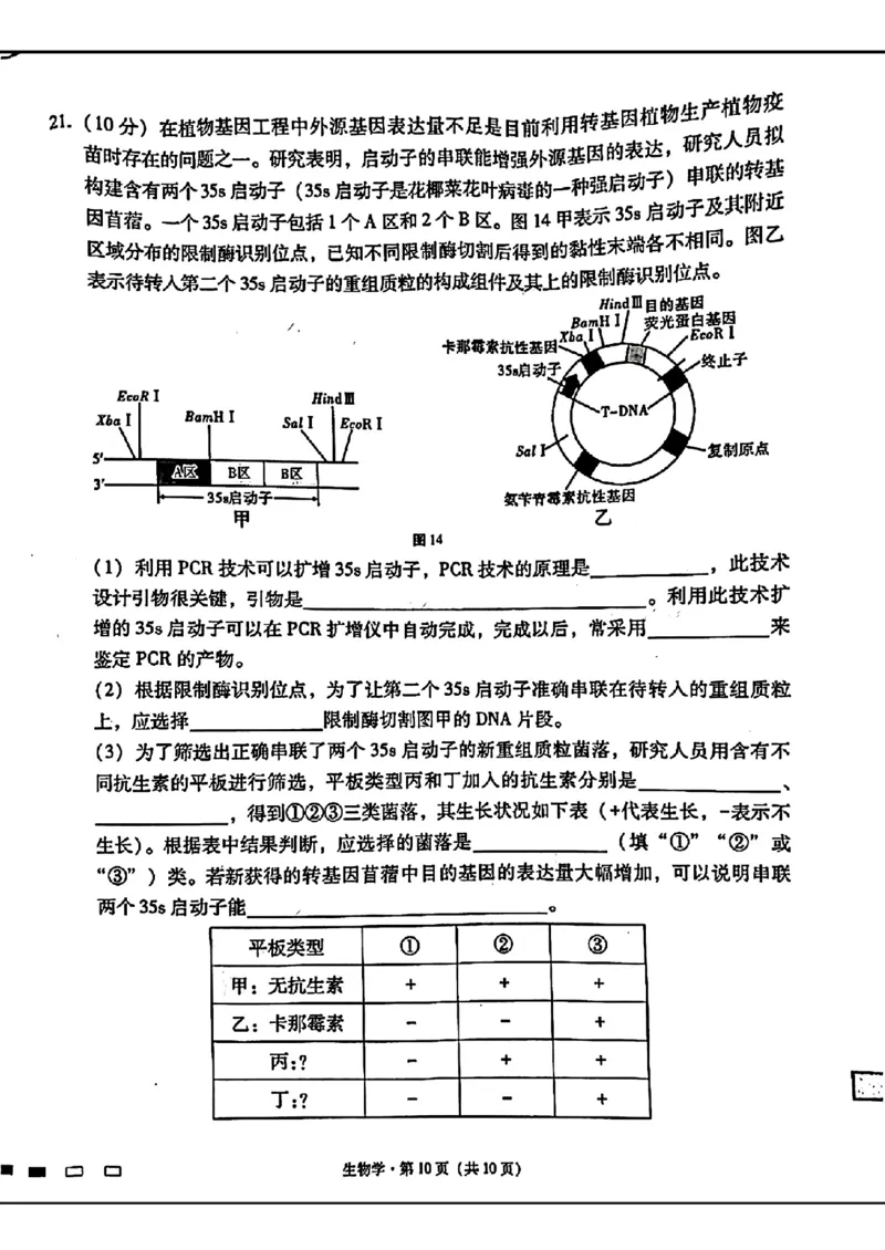 2024届贵州六校联盟高三下学期高考实用性联考（三）生物含答案(1)_2024年3月_013月合集_2024届贵州省六校联盟高考实用性联考（三）