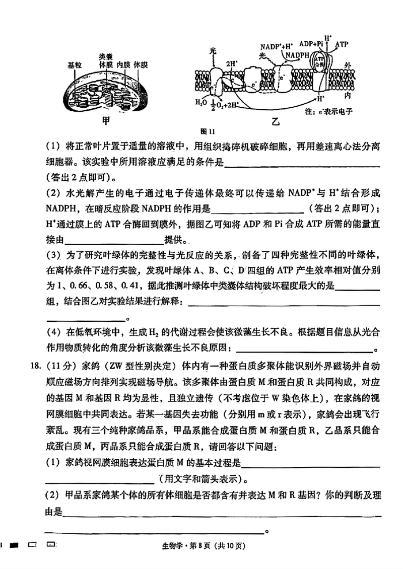 2024届贵州六校联盟高三下学期高考实用性联考（三）生物含答案(1)_2024年3月_013月合集_2024届贵州省六校联盟高考实用性联考（三）