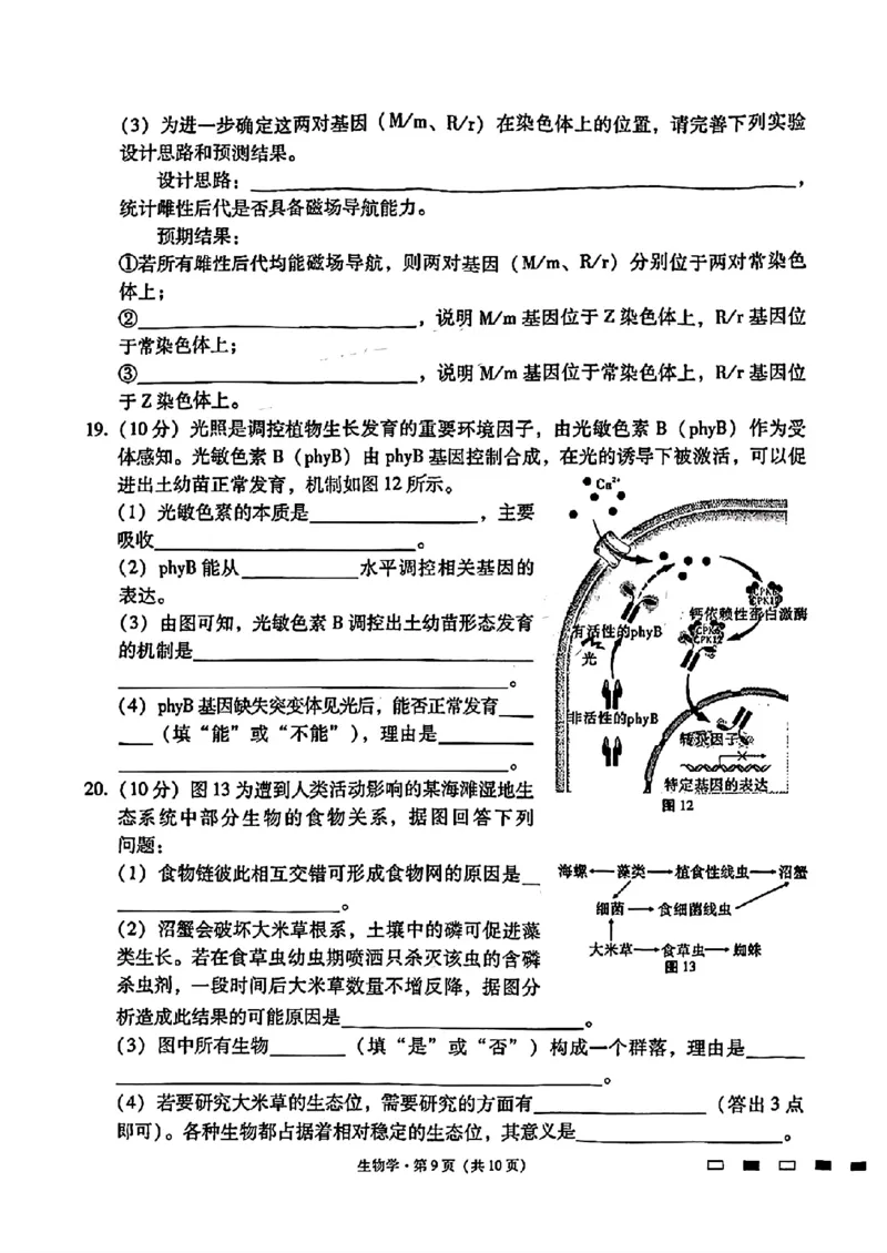 2024届贵州六校联盟高三下学期高考实用性联考（三）生物含答案(1)_2024年3月_013月合集_2024届贵州省六校联盟高考实用性联考（三）