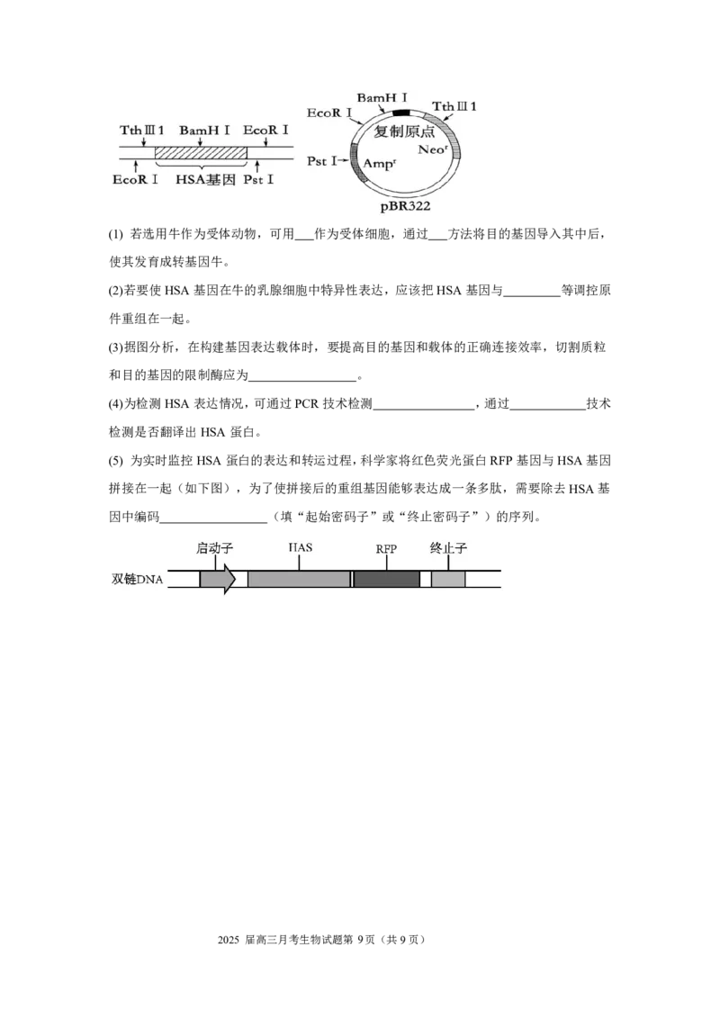 湖北省重点高中智学联盟2025届新高三8月联考考试生物试卷_8月_240818湖北省重点高中智学联盟2025届新高三8月联考考试_湖北省重点高中智学联盟2025届新高三8月联考考试生物