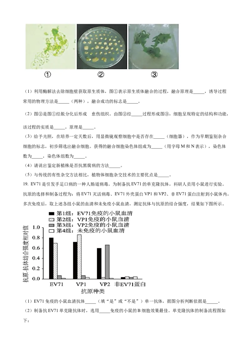 甘肃省兰州第一中学2023-2024学年高二下学期6月月考试题生物Word版含解析_6月_240617甘肃省兰州第一中学2023-2024学年高二下学期6月月考
