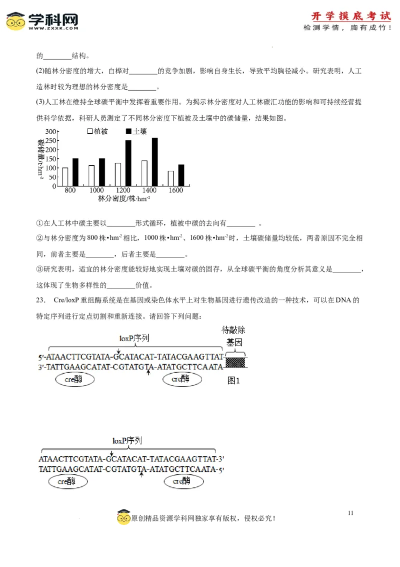 生物（江苏卷）（考试版）_2024届新高三开学摸底考试卷_生物-2024届新高三开学摸底考试卷_生物-2024届新高三开学摸底考试卷（江苏卷）