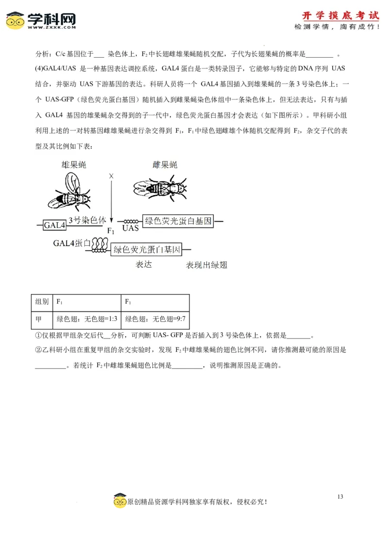 生物（江苏卷）（考试版）_2024届新高三开学摸底考试卷_生物-2024届新高三开学摸底考试卷_生物-2024届新高三开学摸底考试卷（江苏卷）