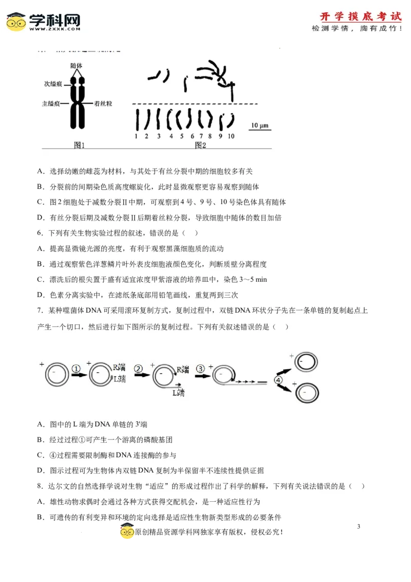 生物（江苏卷）（考试版）_2024届新高三开学摸底考试卷_生物-2024届新高三开学摸底考试卷_生物-2024届新高三开学摸底考试卷（江苏卷）
