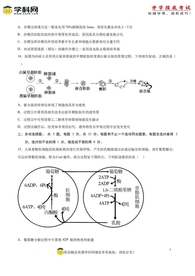 生物（江苏卷）（考试版）_2024届新高三开学摸底考试卷_生物-2024届新高三开学摸底考试卷_生物-2024届新高三开学摸底考试卷（江苏卷）