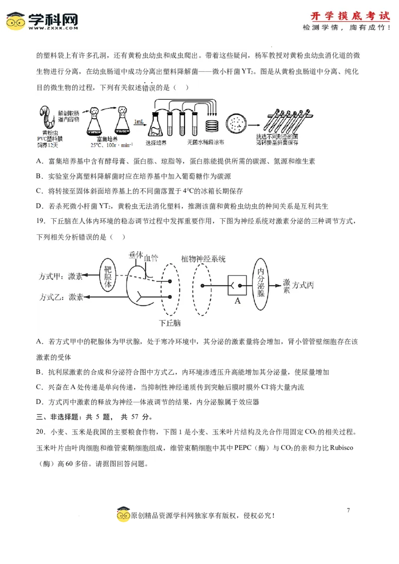 生物（江苏卷）（考试版）_2024届新高三开学摸底考试卷_生物-2024届新高三开学摸底考试卷_生物-2024届新高三开学摸底考试卷（江苏卷）
