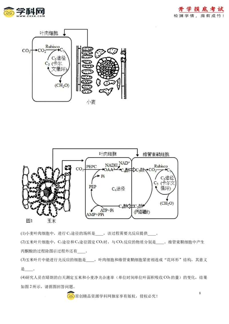 生物（江苏卷）（考试版）_2024届新高三开学摸底考试卷_生物-2024届新高三开学摸底考试卷_生物-2024届新高三开学摸底考试卷（江苏卷）
