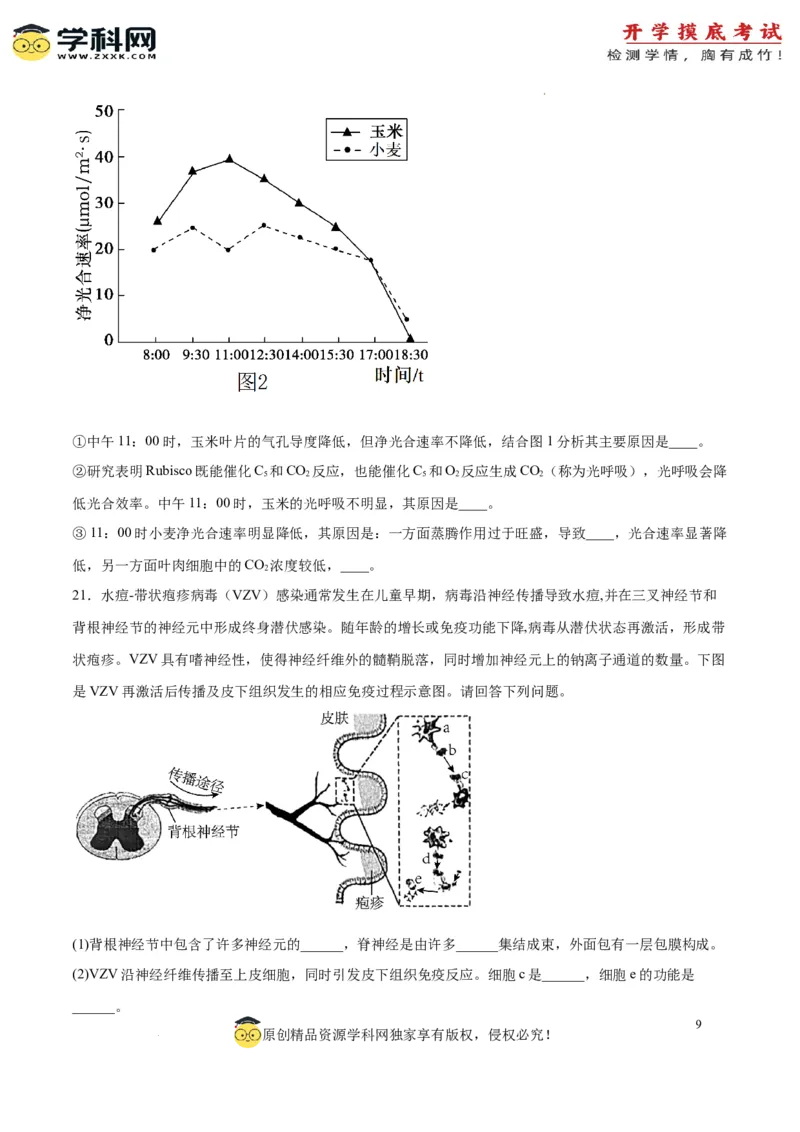 生物（江苏卷）（考试版）_2024届新高三开学摸底考试卷_生物-2024届新高三开学摸底考试卷_生物-2024届新高三开学摸底考试卷（江苏卷）
