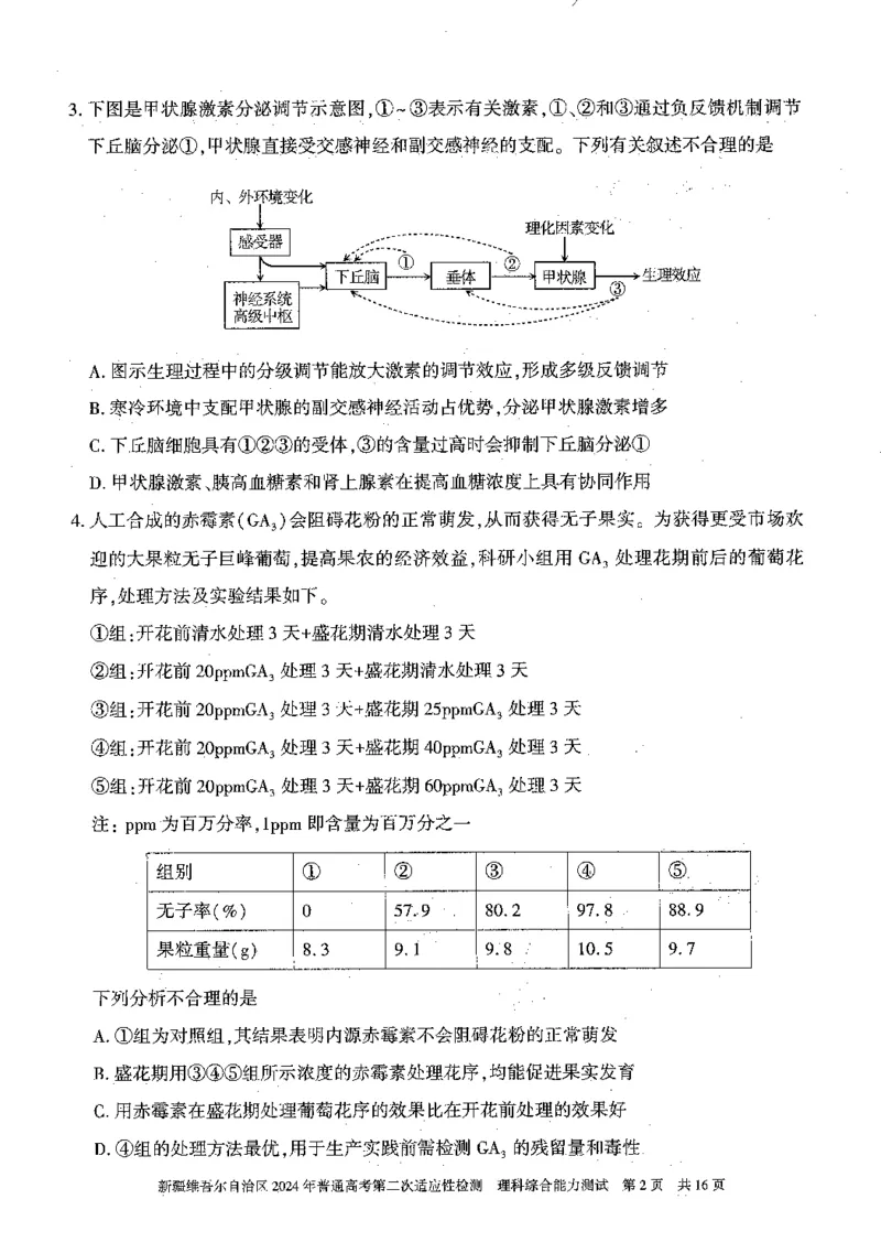 2024新疆二模理综试题_2024年4月_01按日期_14号_2024届新疆维吾尔自治区高三第二次适应性检测_新疆维吾尔自治区2024届高三第二次适应性检测理综
