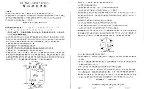 2024届百师联盟高三4月二轮复习联考理科综合试卷(新高考)_2024年4月_01按日期_26号_2024届百师联盟届高三二轮复习联考（二）_2024届百师联盟高三4月二轮复习联考理科综合试卷(新高考)