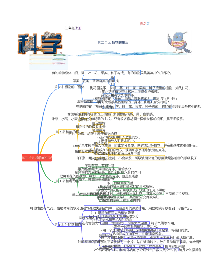 第二单元植物的生活-2023-2024学年度三年级科学上册期中专项复习（青岛版）_三年级上下册资料_小学三年级学习资料-25年更新版_3-09、小学三年级科学上册_青岛版_单元测试卷