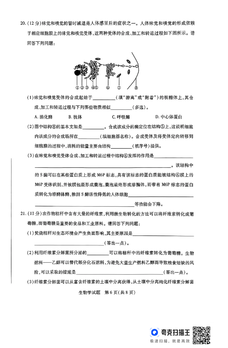 河南省豫北名校2023-2024学年高二下学期6月期末学业质量监测生物_6月_240614河南省豫北名校2023-2024学年高二下学期6月期末学业质量监测