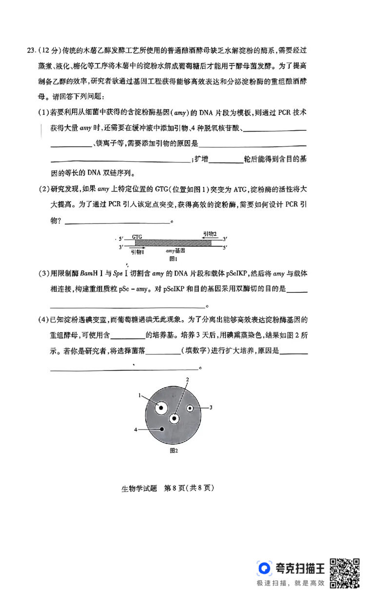 河南省豫北名校2023-2024学年高二下学期6月期末学业质量监测生物_6月_240614河南省豫北名校2023-2024学年高二下学期6月期末学业质量监测