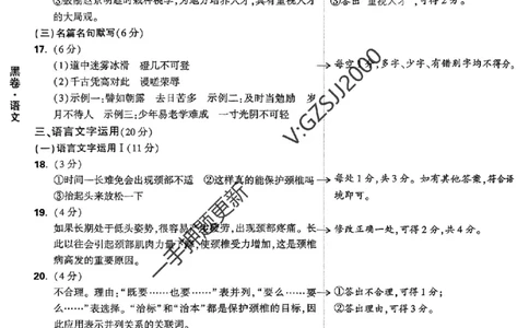 黑卷语文评分标准及详解详析_2024高考押题卷_32024腾远黑白卷_2024腾远高考黑白卷（新课标卷）_黑卷答案