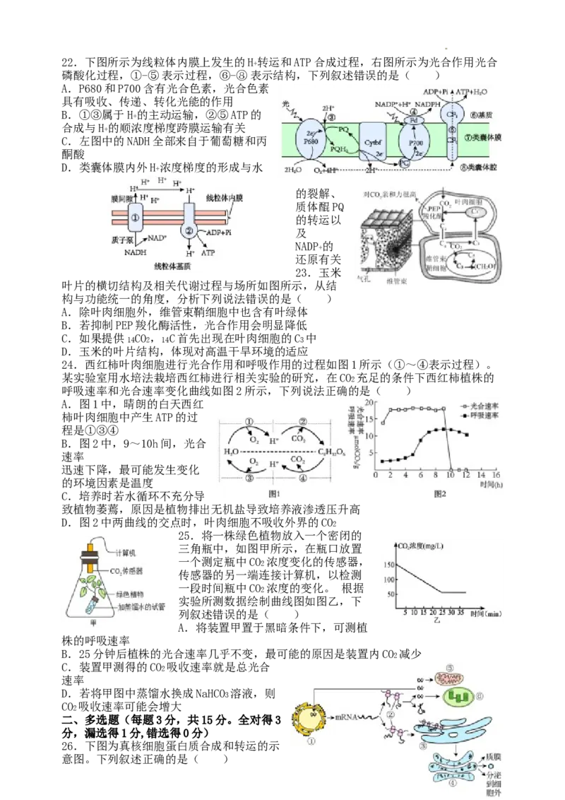 山西大学附属中学校2024~2025学年高三上学期开学考试生物试题_8月_240808山西大学附属中学校2024~2025学年高三上学期8月开学考试