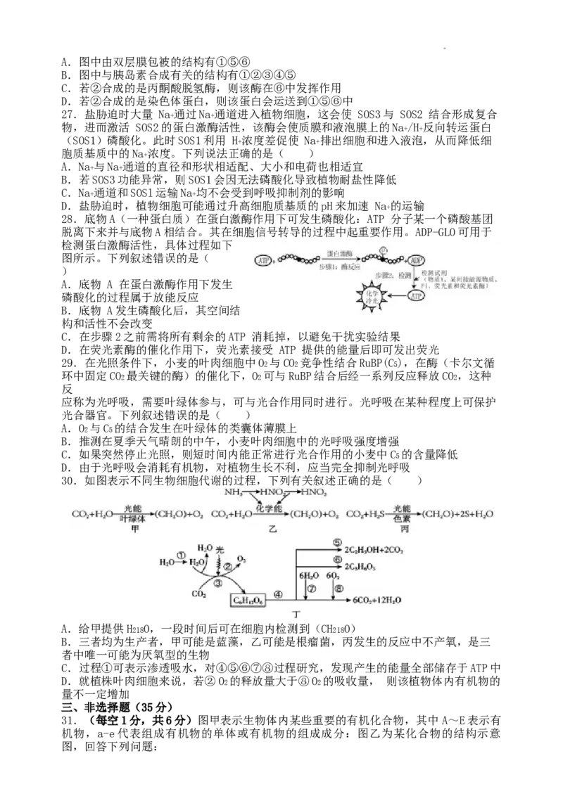 山西大学附属中学校2024~2025学年高三上学期开学考试生物试题_8月_240808山西大学附属中学校2024~2025学年高三上学期8月开学考试