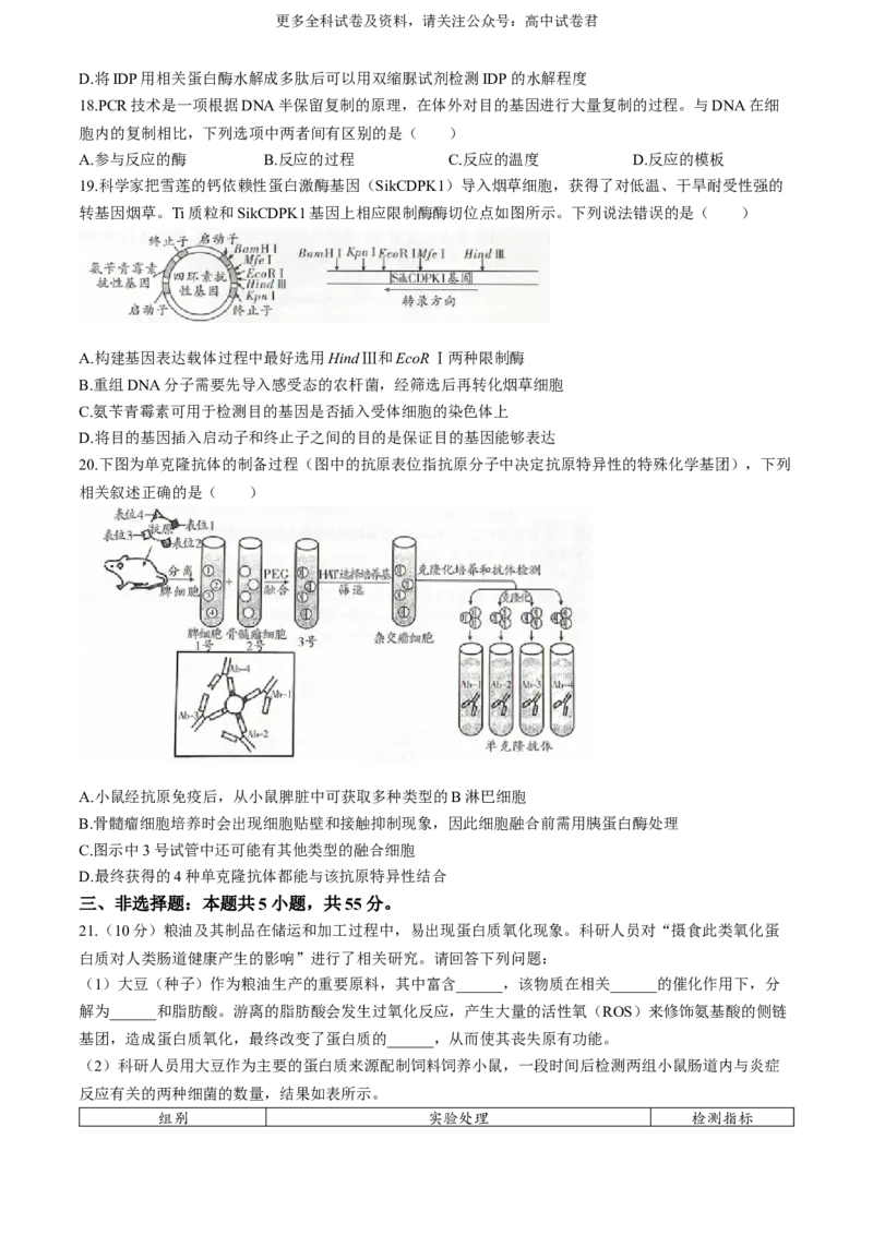 辽宁省（点石联考）2023-2024学年高二下学期6月阶段考生物试卷_6月_240616辽宁省（点石联考）2023-2024学年高二下学期6月份阶段考