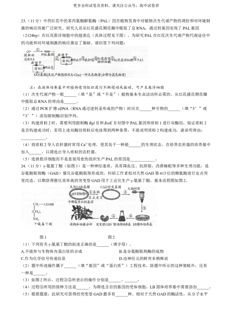 辽宁省（点石联考）2023-2024学年高二下学期6月阶段考生物试卷_6月_240616辽宁省（点石联考）2023-2024学年高二下学期6月份阶段考