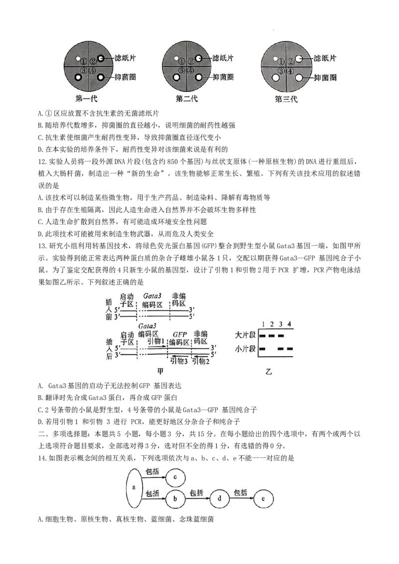 百师联盟联考2023-2024学年高二下学期6月月考生物试题_6月_240619百师联盟2023-2024学年高二下学期期末联考