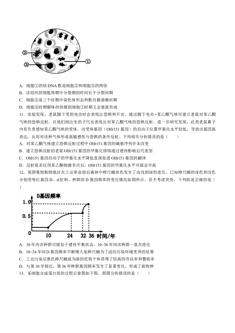 浙江省浙南名校2023-2024学年高二下学期6月期末生物试题_6月_240630浙江省浙南名校2023-2024学年高二下学期6月期末