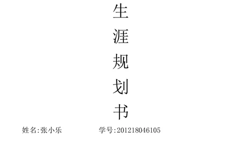 电子商务专业职业生涯规划书-doc_E6-职业规划_13电子商务专业