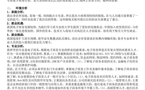 电子商务专业职业生涯规划书-doc_E6-职业规划_13电子商务专业