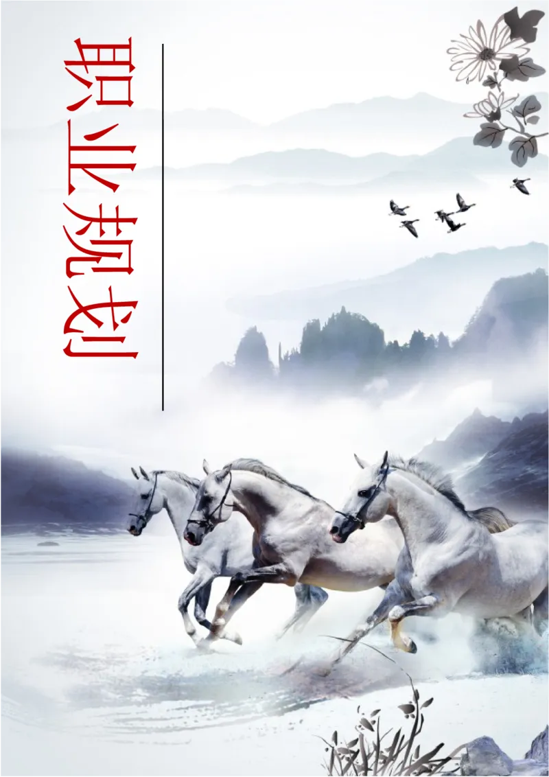 职业规划范本(04)_E6-职业规划_01精选word模板（推荐使用，修改后可用）