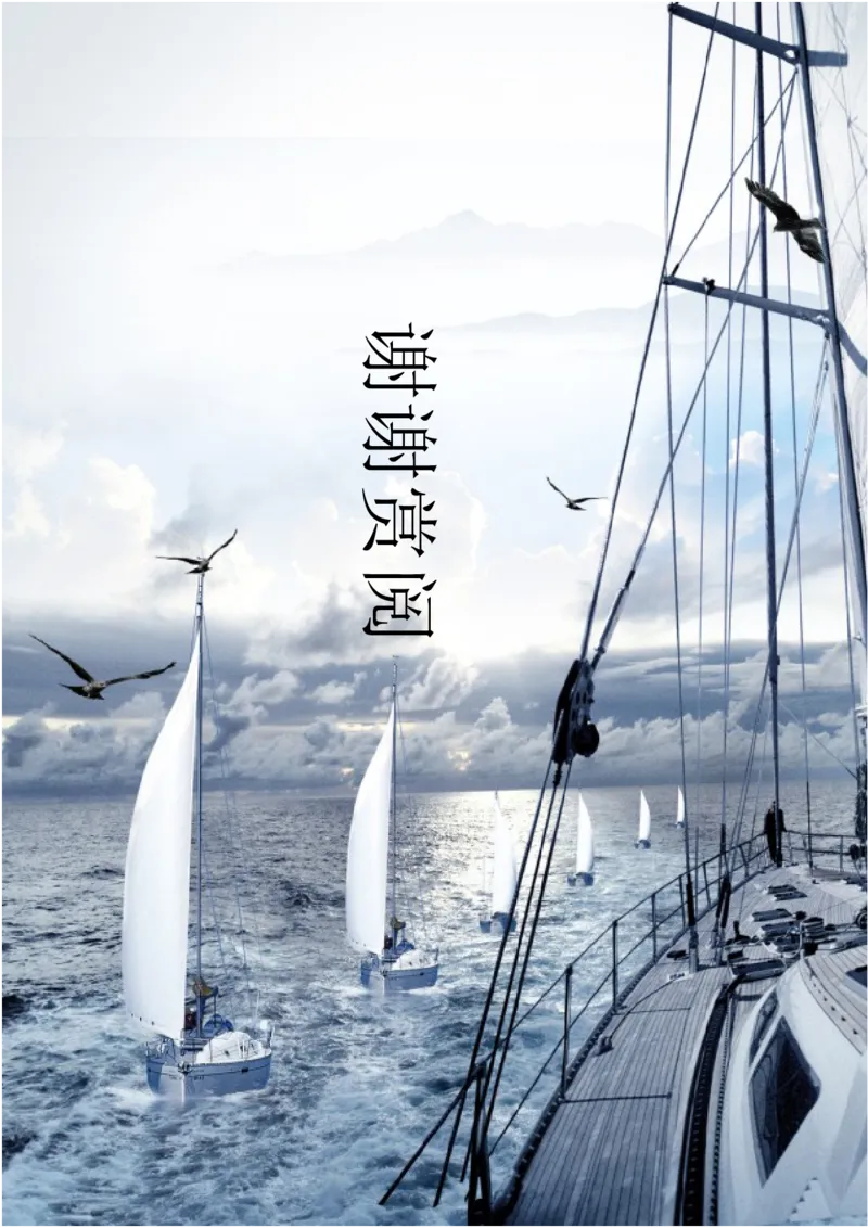 职业规划范本(04)_E6-职业规划_01精选word模板（推荐使用，修改后可用）