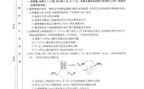 2024届高三第一次模拟理综_2024年4月_01按日期_10号_2024届金太阳（减号）青海宁夏陕西高三4月联考_金太阳2024届高三4月联考（减号）理综试题