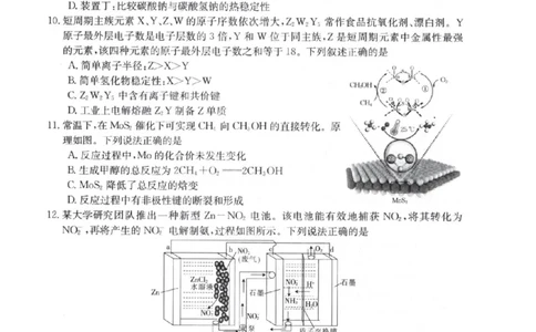 2024届高三第一次模拟理综_2024年4月_01按日期_10号_2024届金太阳（减号）青海宁夏陕西高三4月联考_金太阳2024届高三4月联考（减号）理综试题
