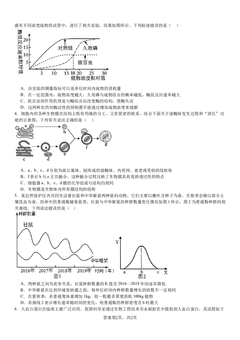 生物_8月_240811河南省许昌高级中学2024-2025学年高三上学期8月月考_河南省许昌市魏都区许昌高级中学2024-2025学年高三上学期8月月考生物试题