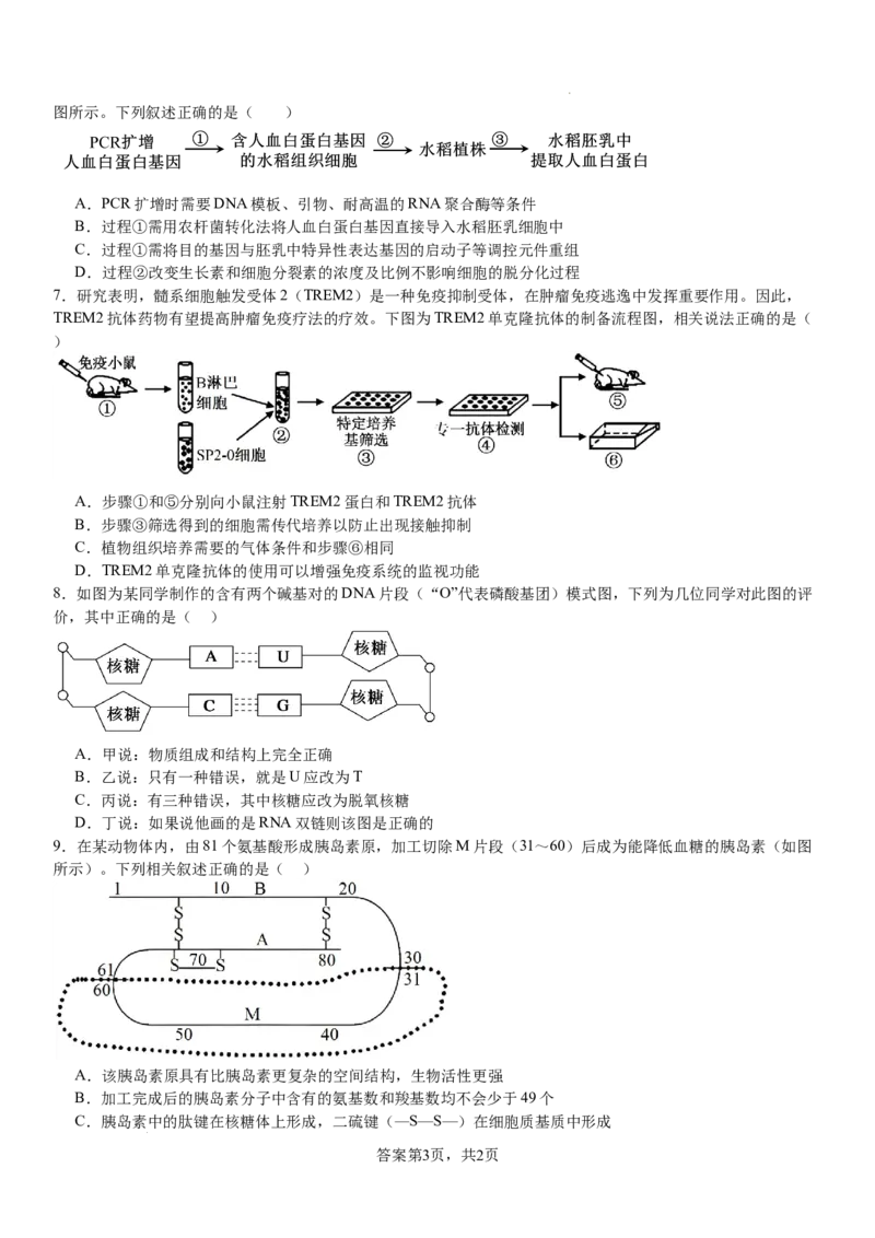 生物_8月_240811河南省许昌高级中学2024-2025学年高三上学期8月月考_河南省许昌市魏都区许昌高级中学2024-2025学年高三上学期8月月考生物试题