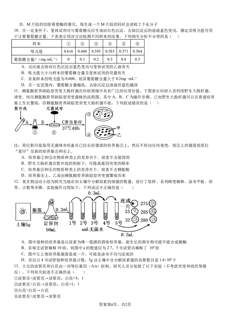 生物_8月_240811河南省许昌高级中学2024-2025学年高三上学期8月月考_河南省许昌市魏都区许昌高级中学2024-2025学年高三上学期8月月考生物试题