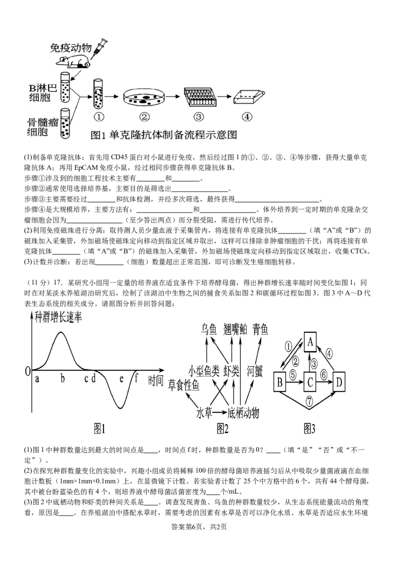 生物_8月_240811河南省许昌高级中学2024-2025学年高三上学期8月月考_河南省许昌市魏都区许昌高级中学2024-2025学年高三上学期8月月考生物试题