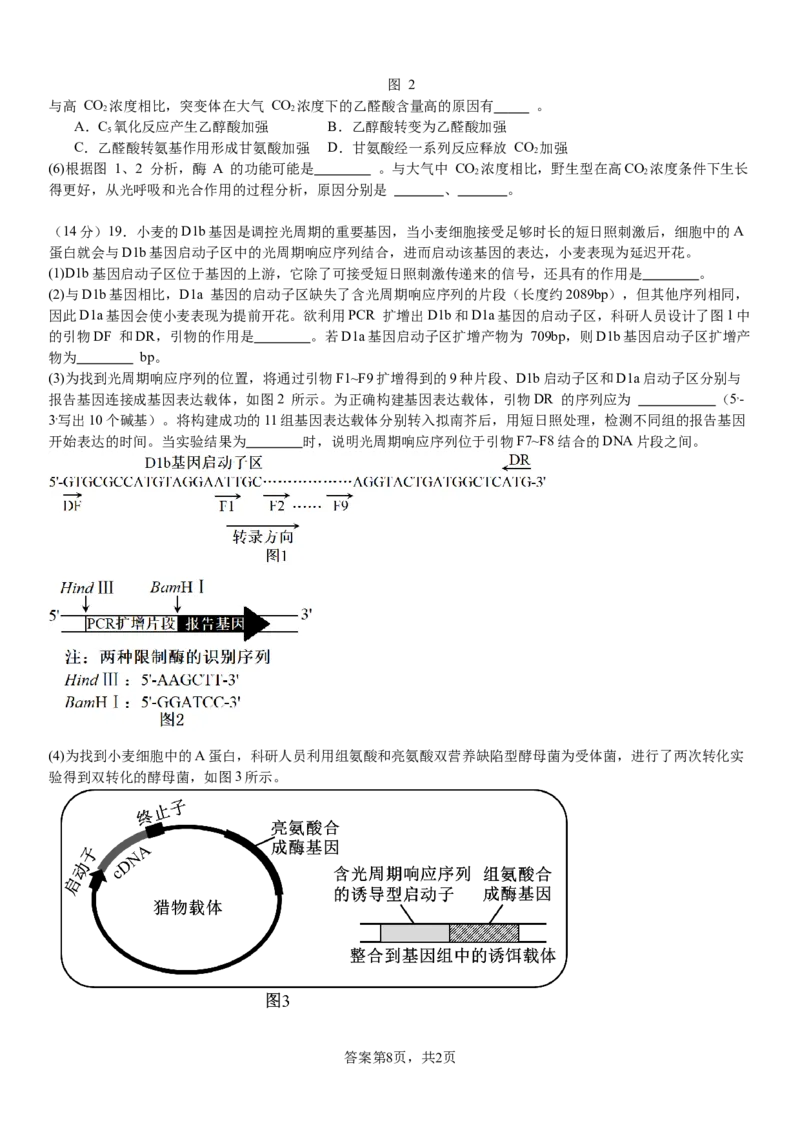 生物_8月_240811河南省许昌高级中学2024-2025学年高三上学期8月月考_河南省许昌市魏都区许昌高级中学2024-2025学年高三上学期8月月考生物试题