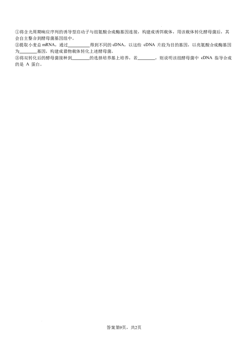 生物_8月_240811河南省许昌高级中学2024-2025学年高三上学期8月月考_河南省许昌市魏都区许昌高级中学2024-2025学年高三上学期8月月考生物试题