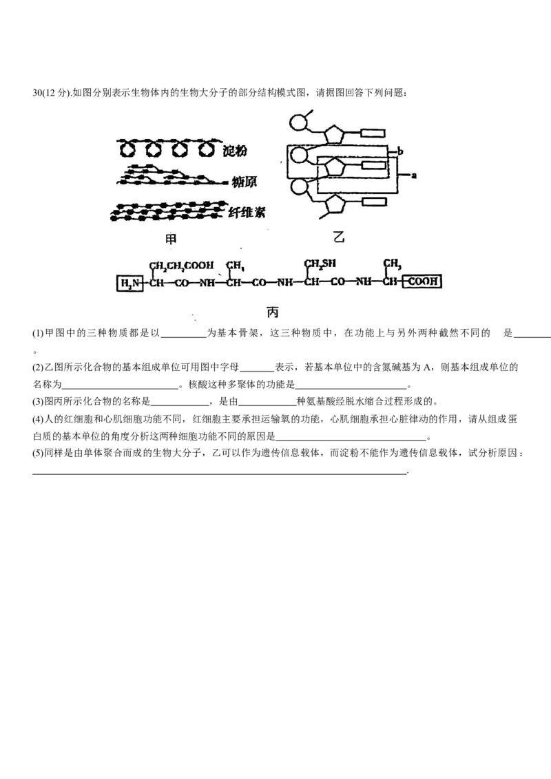 河北省衡水市第二中学2023-2024学年高二下学期6月期末考试生物Word版含解析_6月_240629河北省衡水市第二中学2023-2024学年高二下学期6月期末考试