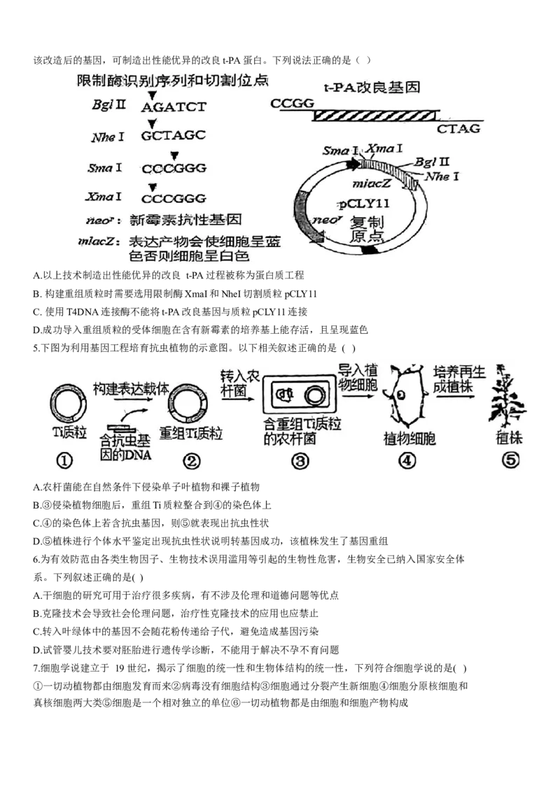 河北省衡水市第二中学2023-2024学年高二下学期6月期末考试生物Word版含解析_6月_240629河北省衡水市第二中学2023-2024学年高二下学期6月期末考试