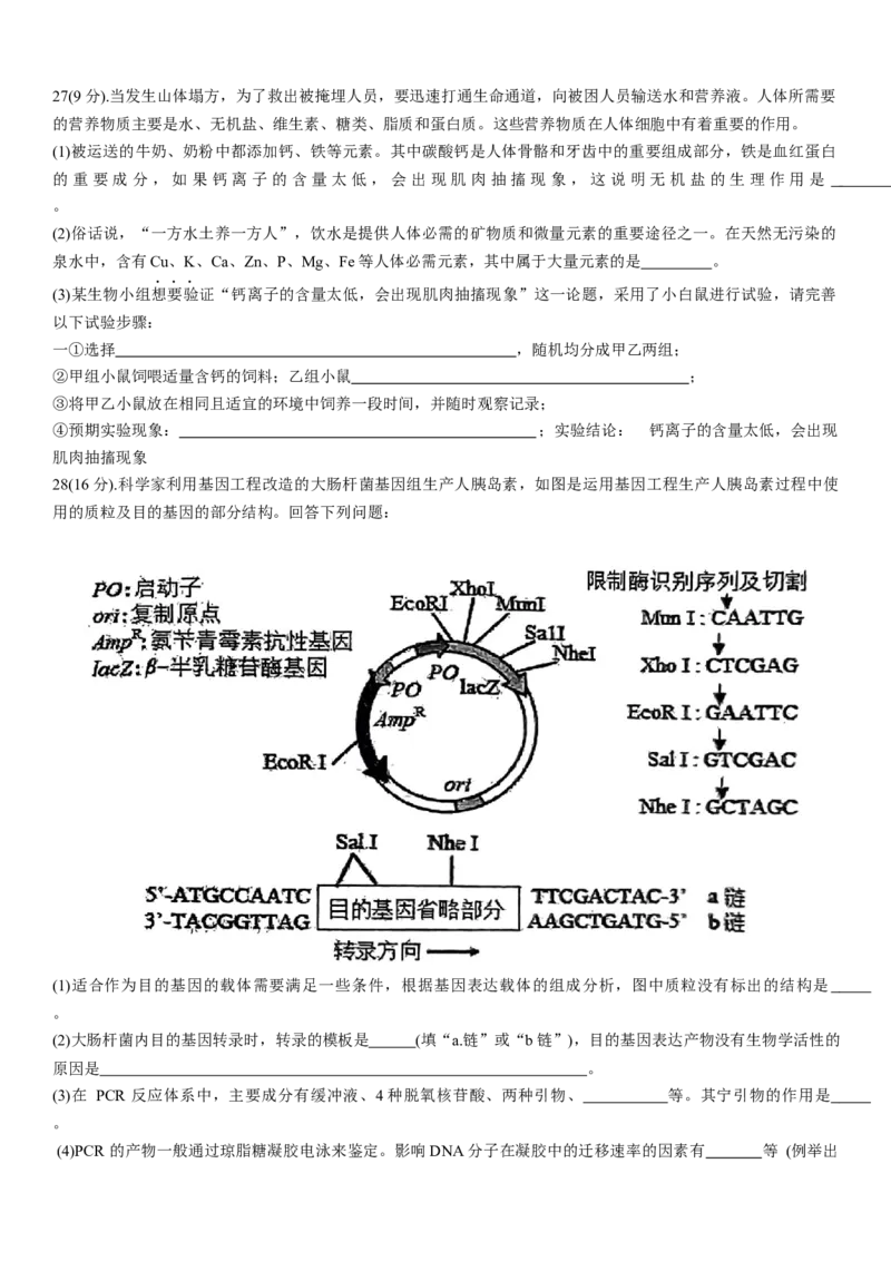 河北省衡水市第二中学2023-2024学年高二下学期6月期末考试生物Word版含解析_6月_240629河北省衡水市第二中学2023-2024学年高二下学期6月期末考试