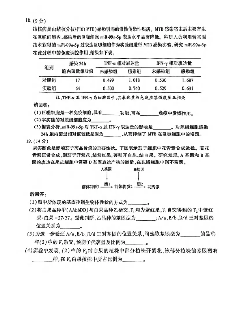 2024届福建省厦门市高三下学期第四次质量检测考试生物试题+答案(1)_2024年5月_025月合集_2024届福建省厦门市高三下学期联考模拟预测