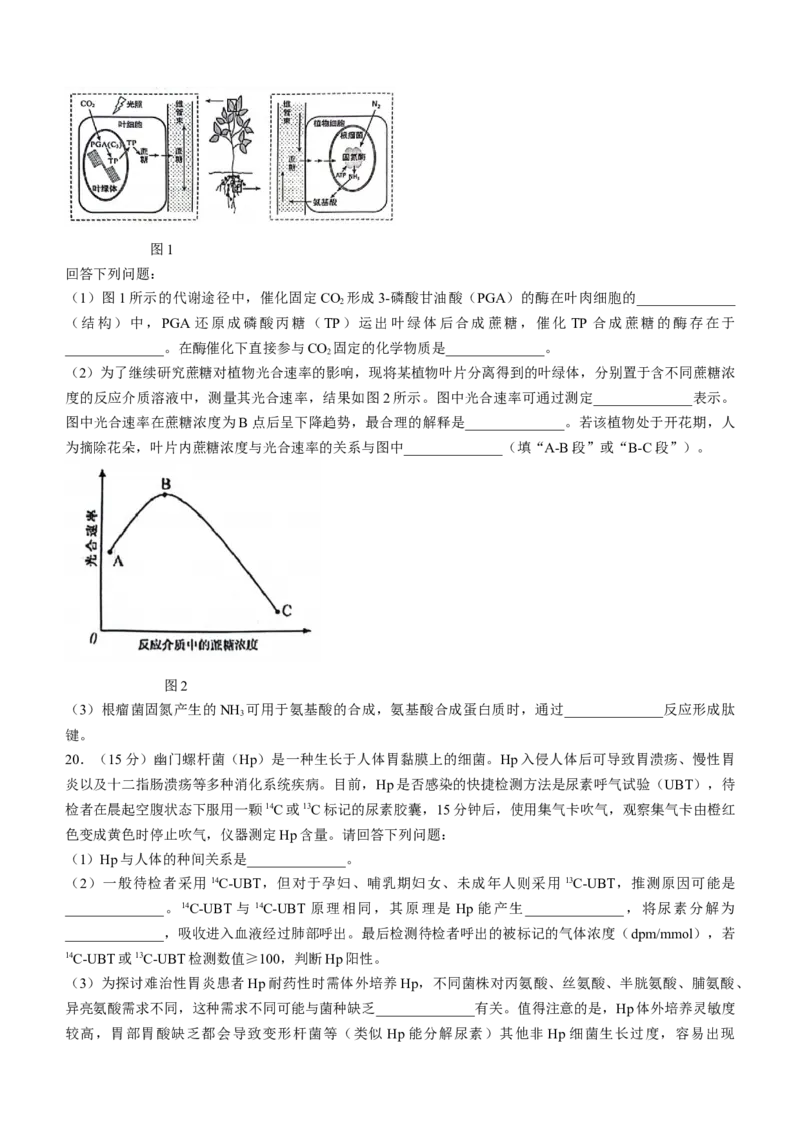 湖北省武汉市江岸区2023-2024学年高二下学期7月期末生物试题Word版含答案_7月_240702湖北省武汉市江岸区2023-2024学年高二下学期7月期末