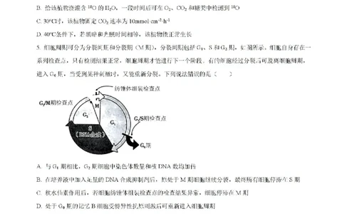 云南省昆明市五华区云南师范大学附属中学2024-2025学年高三上学期8月月考生物试题(含解析)(1)_8月_240823云南省昆明市五华区云南师范大学附属中学2024-2025学年高三上学期8月月考