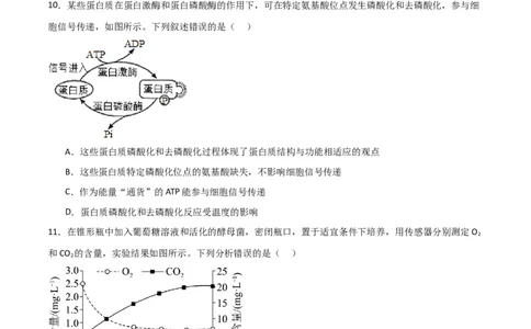 黄金卷02（考试版）-赢在高考&middot;黄金8卷备战2024年高考生物模拟卷（全国卷专用）_2024高考押题卷_92024赢在高考全系列_赢在高考&middot;黄金8卷备战2024年高考生物模拟卷