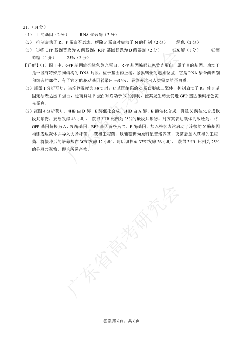 广东省2025届高三生物一调模拟卷（答案）_8月_2408082025届广东省普通高中毕业班第一次调研考试_广东省高考研究会：广东省2025届高三生物一调模拟卷