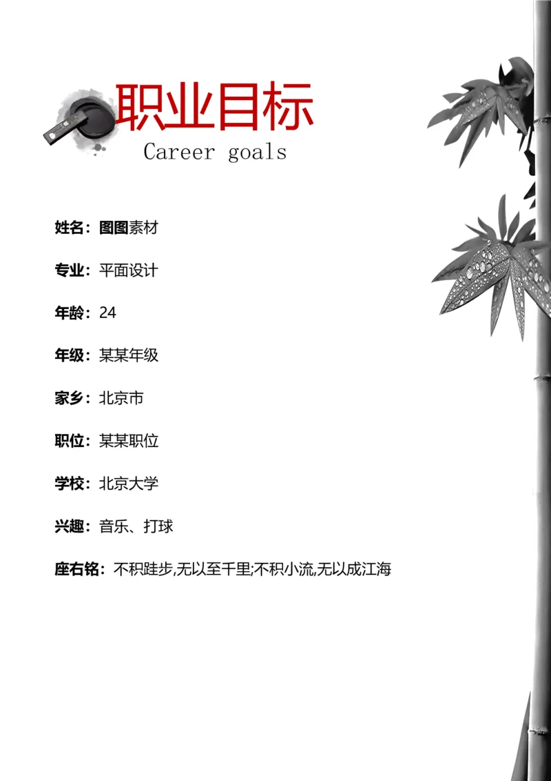 职业规划范本(01)_E6-职业规划_01精选word模板（推荐使用，修改后可用）