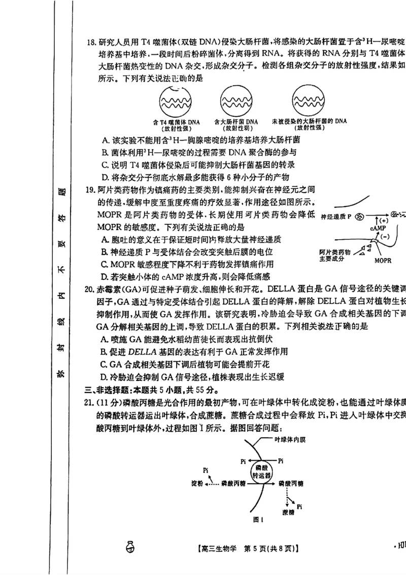 3.26百万金太阳生物_2024年3月_013月合集_2024届高三3月金太阳百万联考（新高考）（半瓶水）_2024届高三3月金太阳百万联考（新高考）（半瓶水）生物