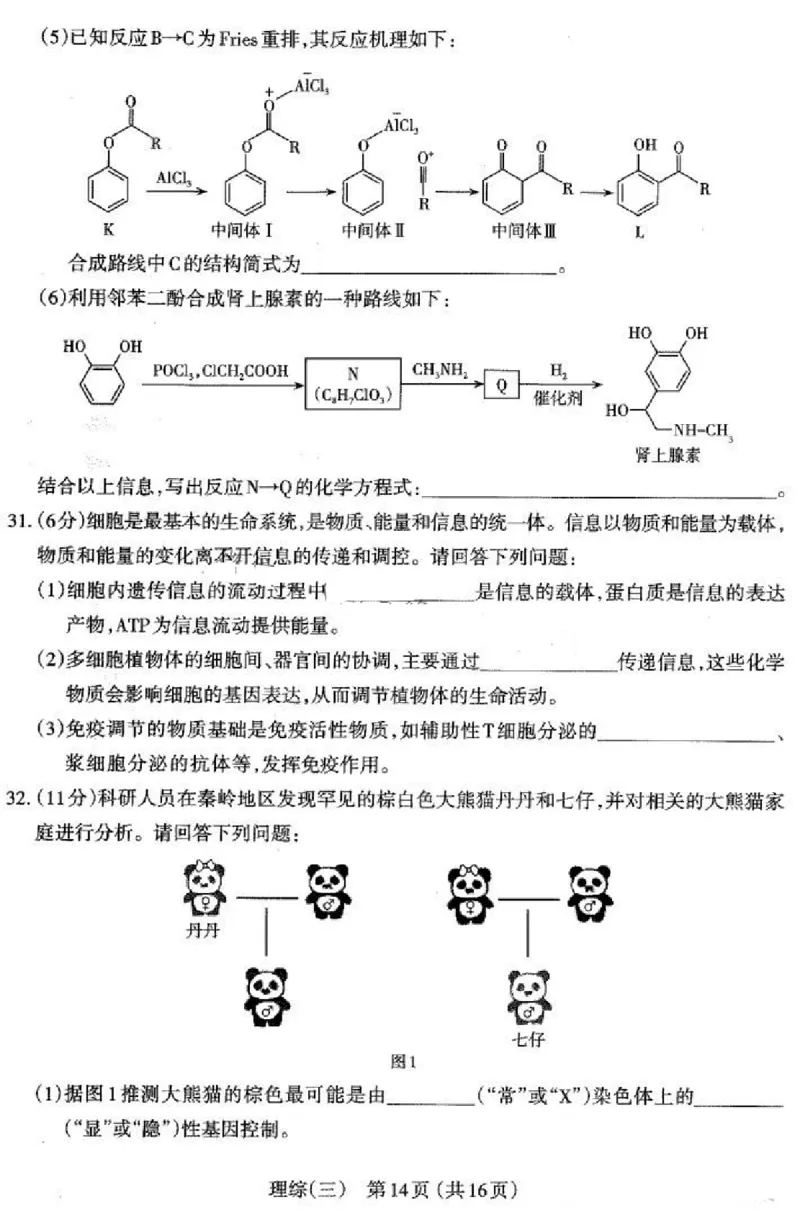 2024山西省太原市高三下学期三模考试理科综合试卷(1)_2024年5月_025月合集_2024届山西省太原市高三下学期三模考试