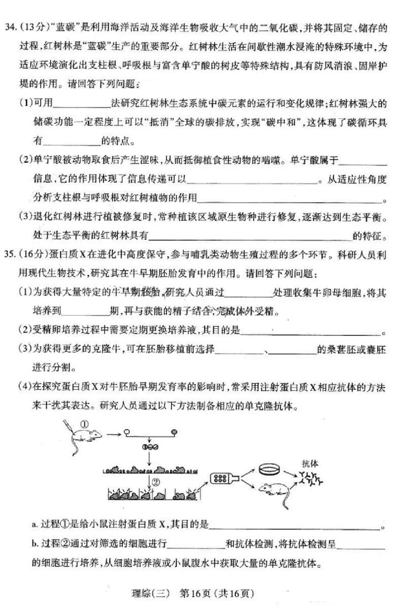 2024山西省太原市高三下学期三模考试理科综合试卷(1)_2024年5月_025月合集_2024届山西省太原市高三下学期三模考试
