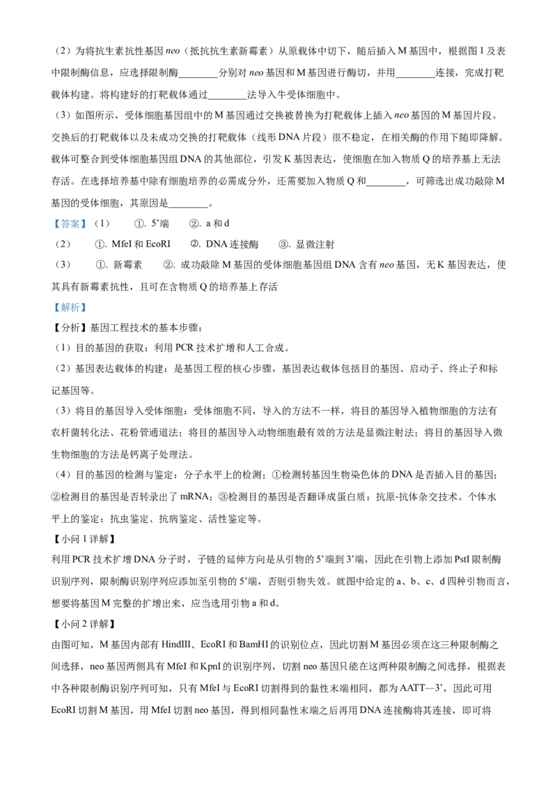江西省赣州市2023-2024学年高二下学期7月期末考试生物Word版含解析(1)_8月_240807江西省赣州市2023-2024学年高二下学期7月期末考试