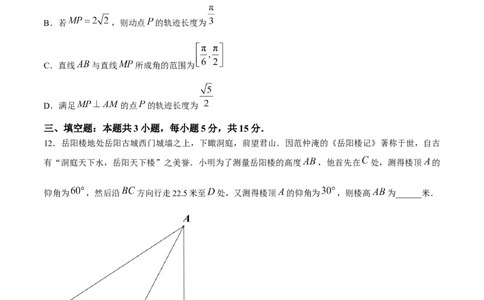 2024届湖南省岳阳市高三下学期第二次教学质量监测（岳阳二模）数学(1)_2024年3月_013月合集_2024届湖南省岳阳市高三下学期第二次教学质量监测（岳阳二模）